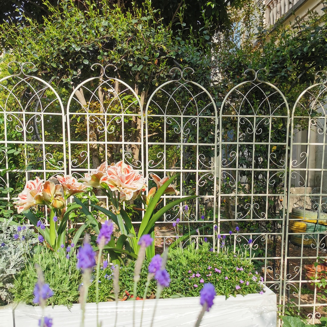 Garden Trellis For Climbing Plants Metal Rustproof Cream White_voghion.com