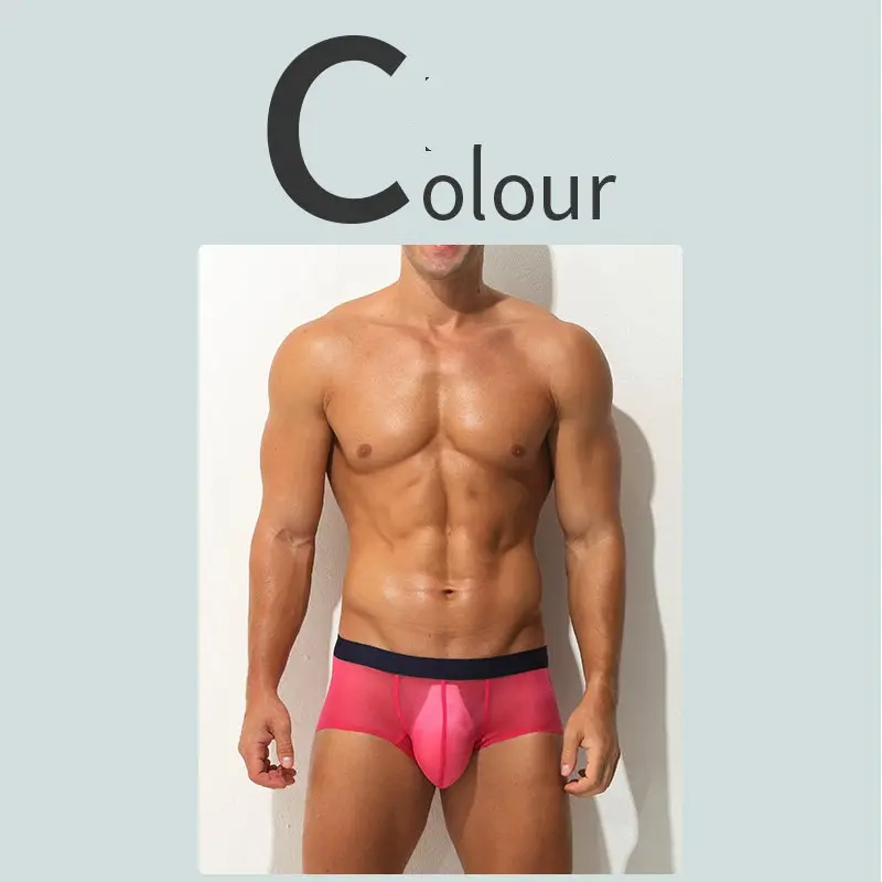 Boxer Briefs Ultra-thin Sheer Ice-silk Low-rise Sexy