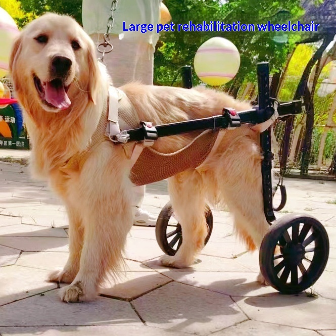Rehabilitation Training Dog Wheelchair Mobility Aid