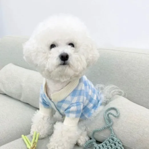 Cute Home Clothes For Pet Cats