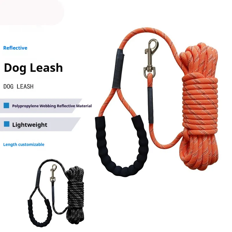 Dog Leash 2-meter And Extended Strap