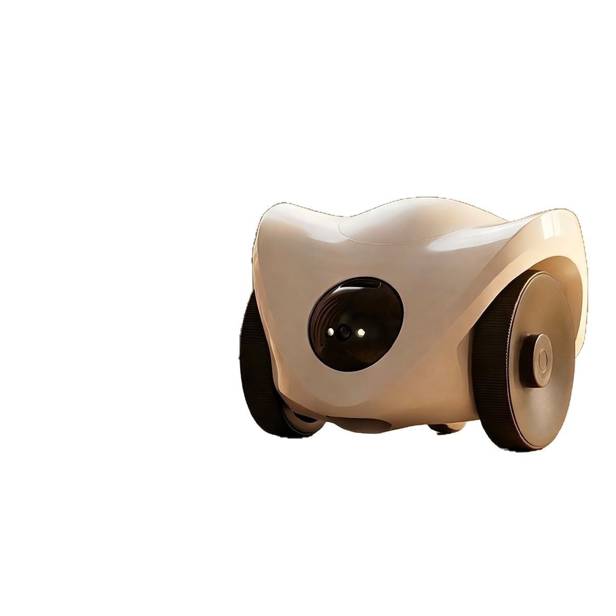 Robot compagnon pour chien avec caméra mobile — Suivi, voix et laser 3