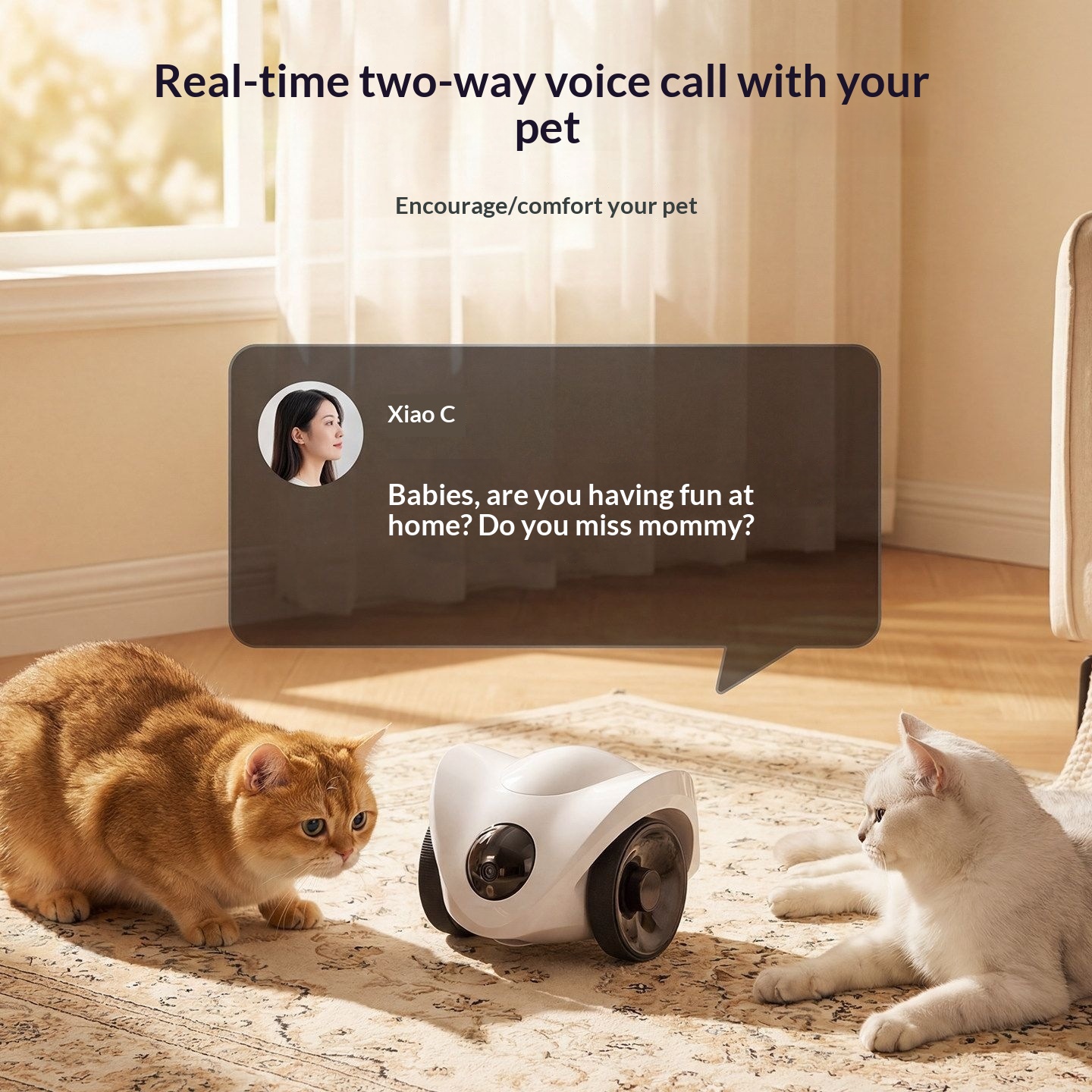 Robot compagnon pour chien avec caméra mobile — Suivi, voix et laser 5