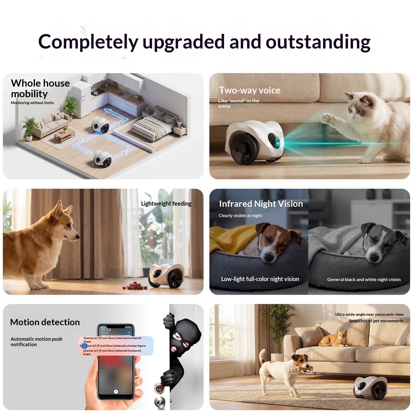 Robot compagnon pour chien avec caméra mobile — Suivi, voix et laser 1