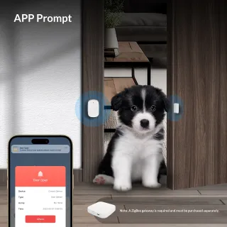 Wireless Security Doorwindow Magnetic Sensor