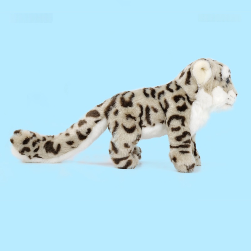 https://oss-cf.cjdropshipping.com/product/2026/06/13/11/8e541d19-9c05-4646-8d52-9ee839e13c0c_water.jpeg