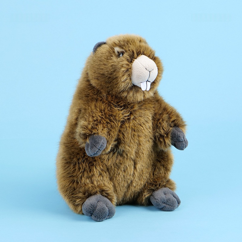 Super-cute Plush Toy As A Birthday Gift