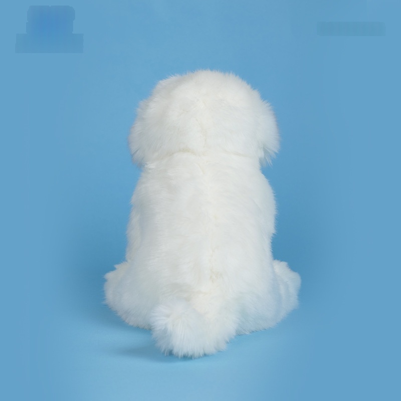https://oss-cf.cjdropshipping.com/product/2026/06/15/03/2dc67bd3-f036-46e6-a557-1b95d35b1a9c_water.jpeg