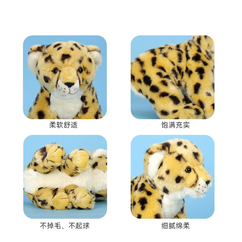 https://oss-cf.cjdropshipping.com/product/2026/06/15/03/3545fc1f-288f-47d7-8507-4c9660876bef.jpg