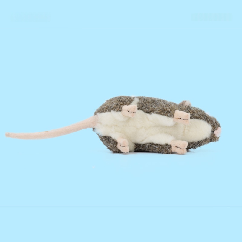 https://oss-cf.cjdropshipping.com/product/2026/06/15/03/69bfac1e-3245-4053-8d46-c1f6853e0fb7_water.jpeg