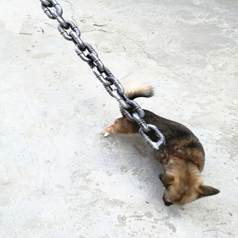 Dog Chain, Traction Rope, Dog Rope, Funny Outdoor Plastic