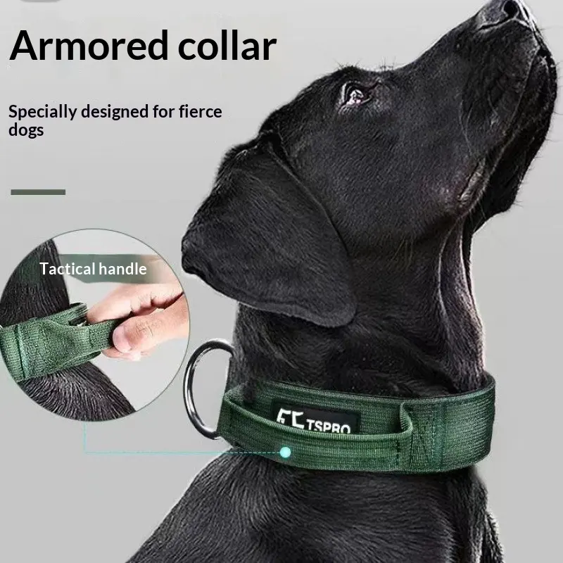 Ulaishi Dog Collar And Leash Set