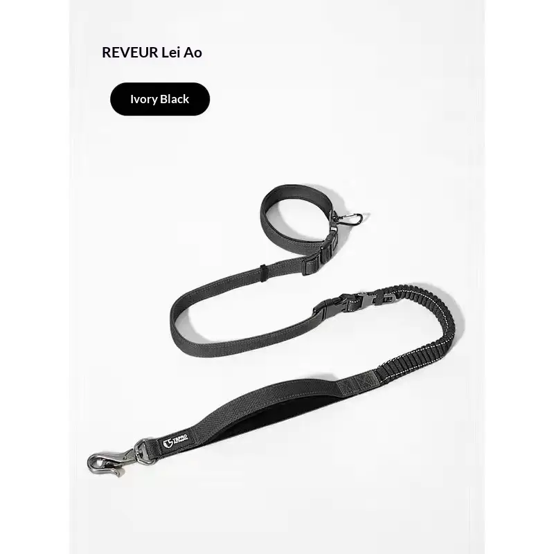 Ulaishi Dog Collar And Leash Set