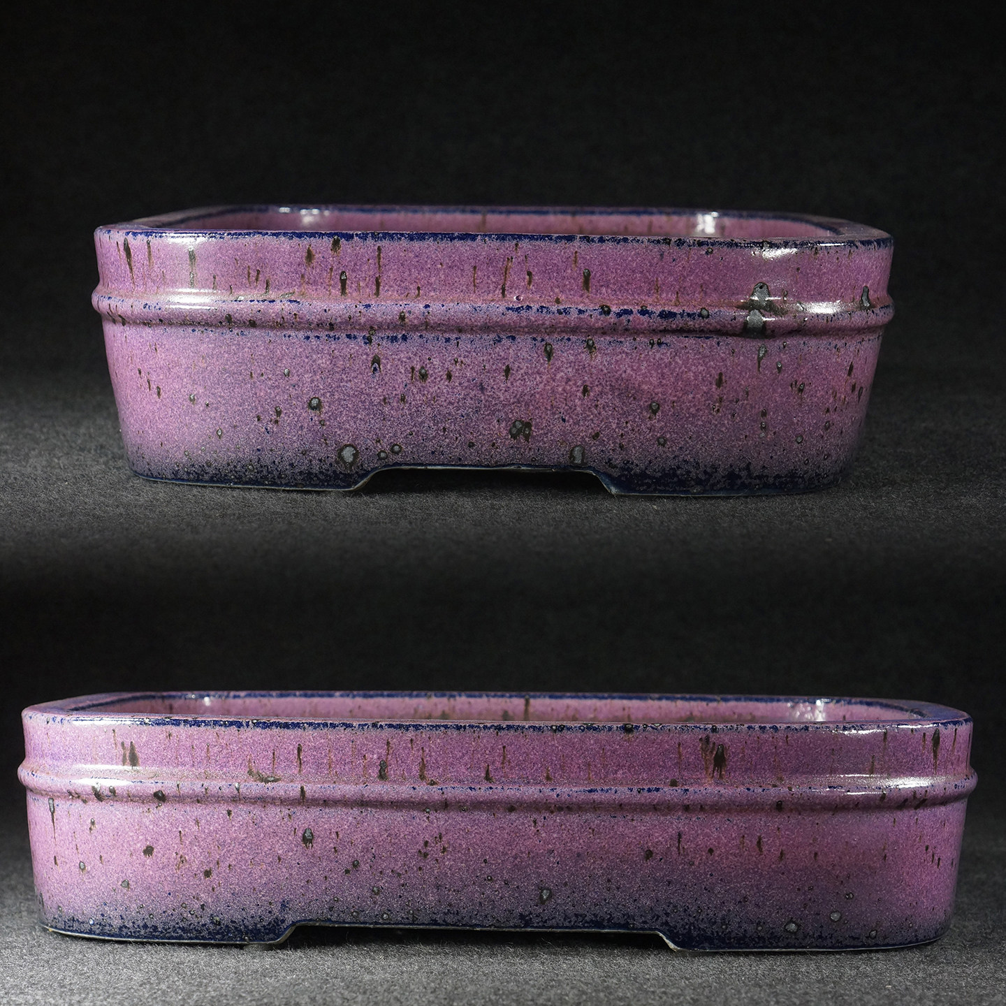 Rectangular Bonsai Pot For Scholars Trees Wisteria  And Mixed Hardwoods
