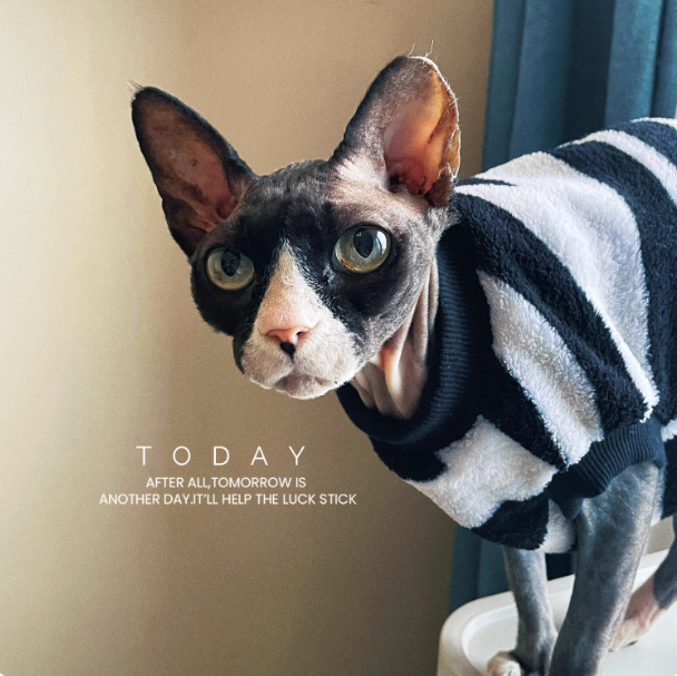Sphynx Cat Warm Sweater Zebra Stripe Pattern Soft Skin Friendly Clothes For Hairless Cats 3