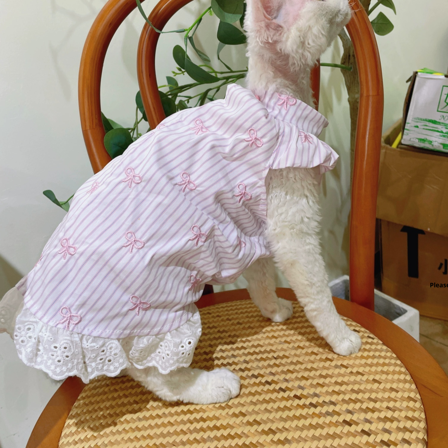 Hairless Cat Clothes Summer Embroidered Bowknot Dress