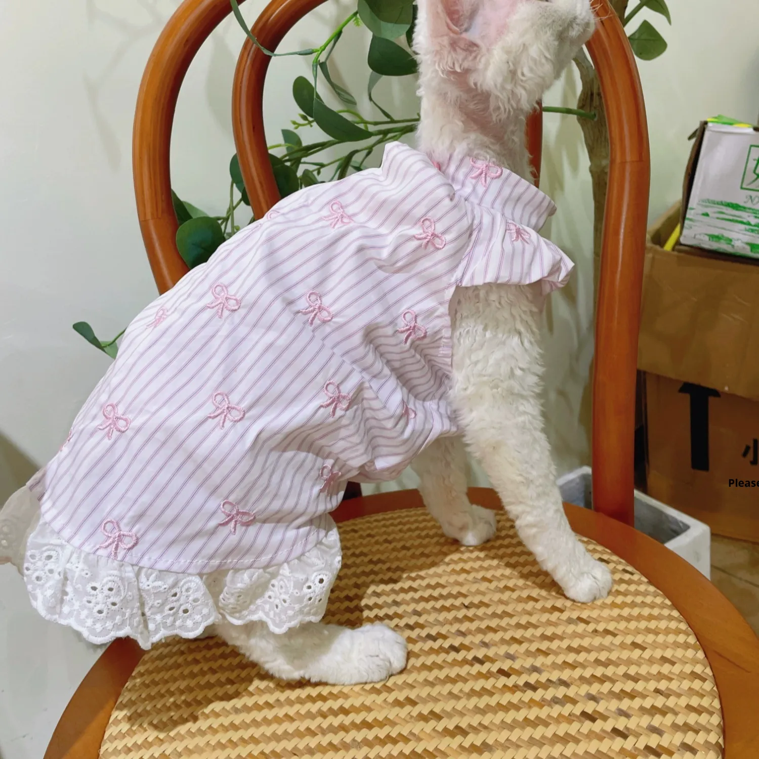 Hairless Cat Clothes Summer Embroidered Bowknot Dress