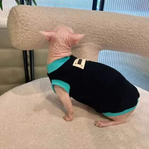 Sphynx Cat Black T-shirt Blue Trim Cotton Sleeveless Spring