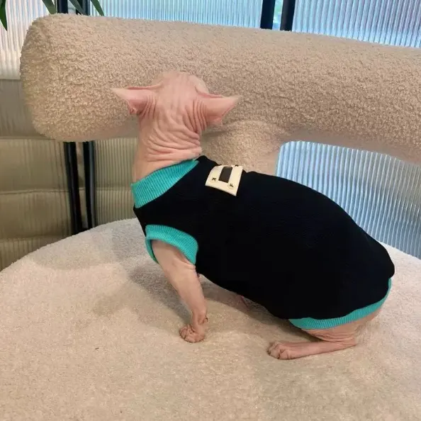 Sphynx Cat Black T-shirt Blue Trim Cotton Sleeveless Spring