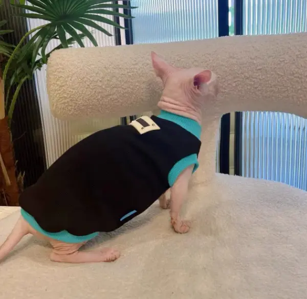 Sphynx Cat Black T-shirt Blue Trim Cotton Sleeveless Spring Summer Clothes for Hairless Cats