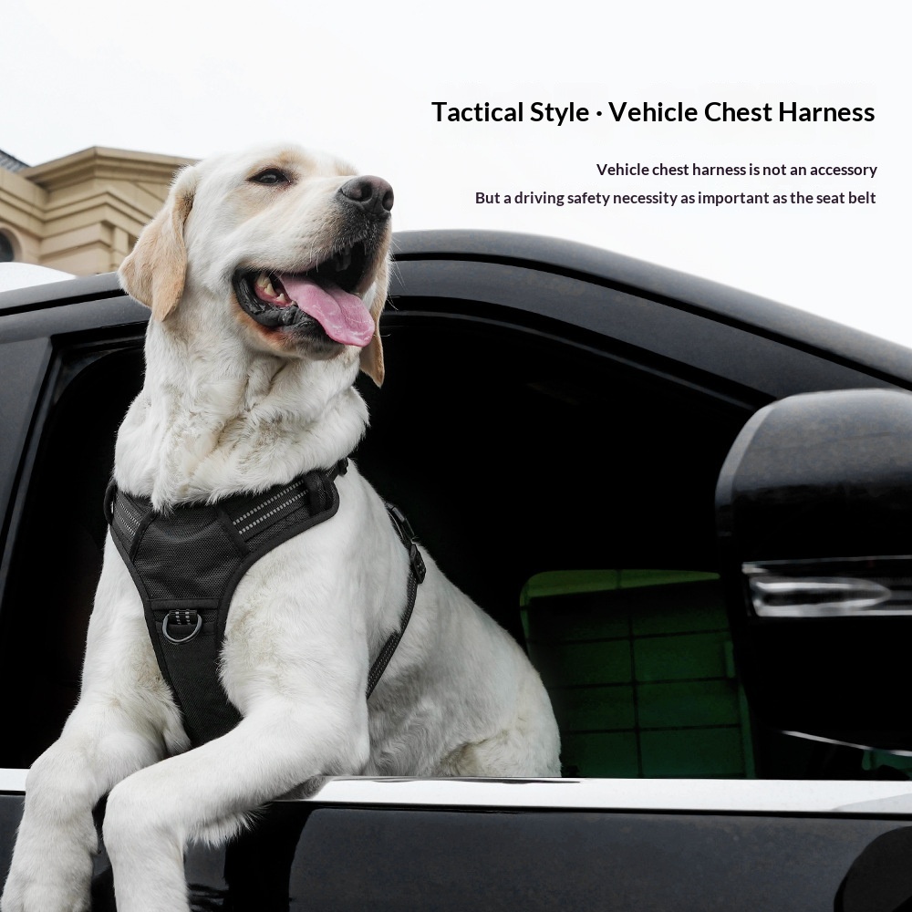 Lightweight Dual-Use Dog Harness For Car Traction
