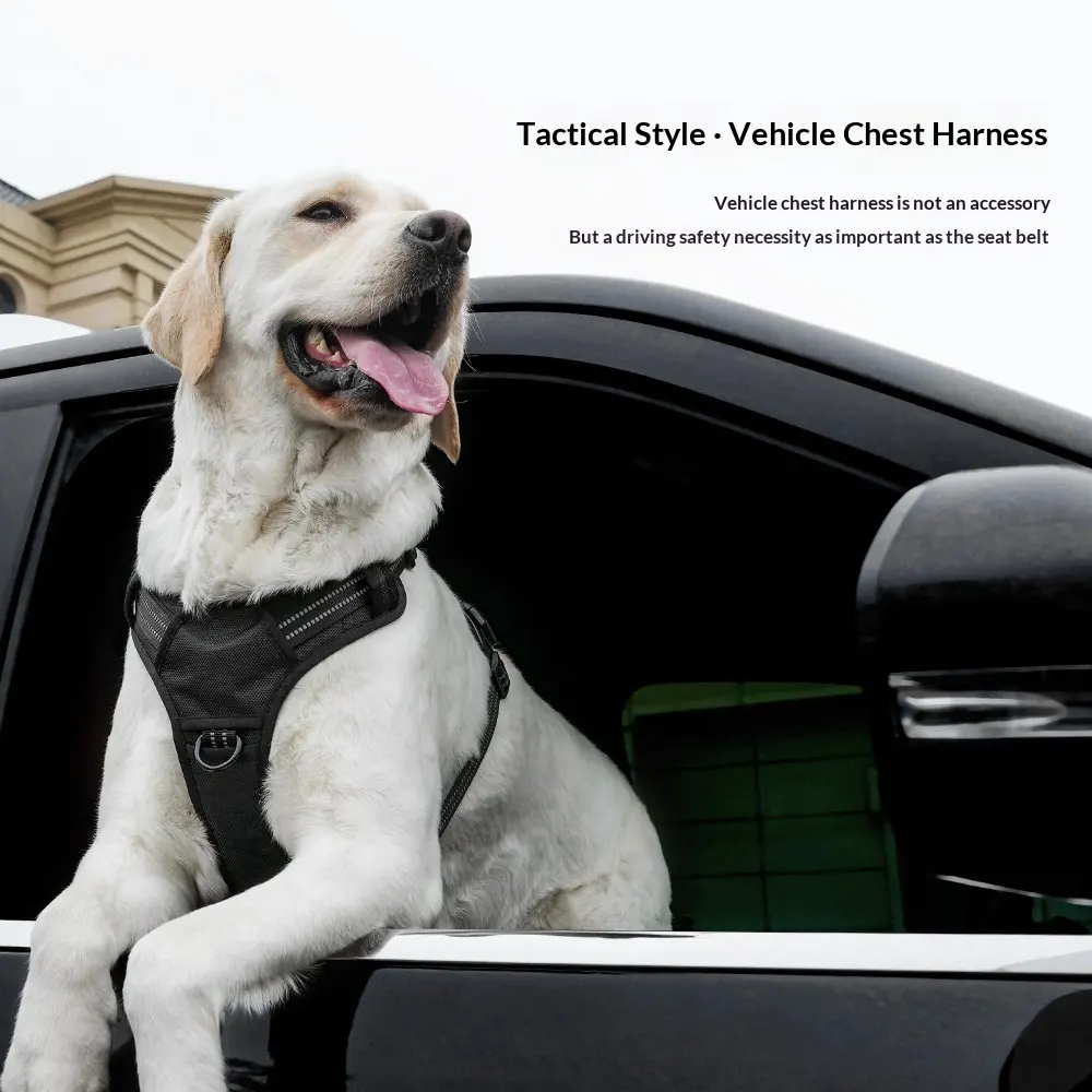 Lightweight Dual-Use Dog Harness