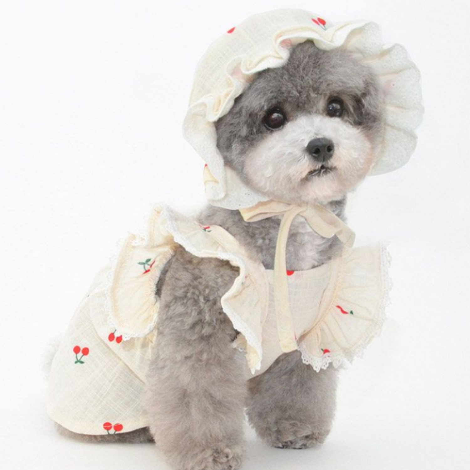 Dog Clothes Summer Thin Sunscreen Skirt Princess