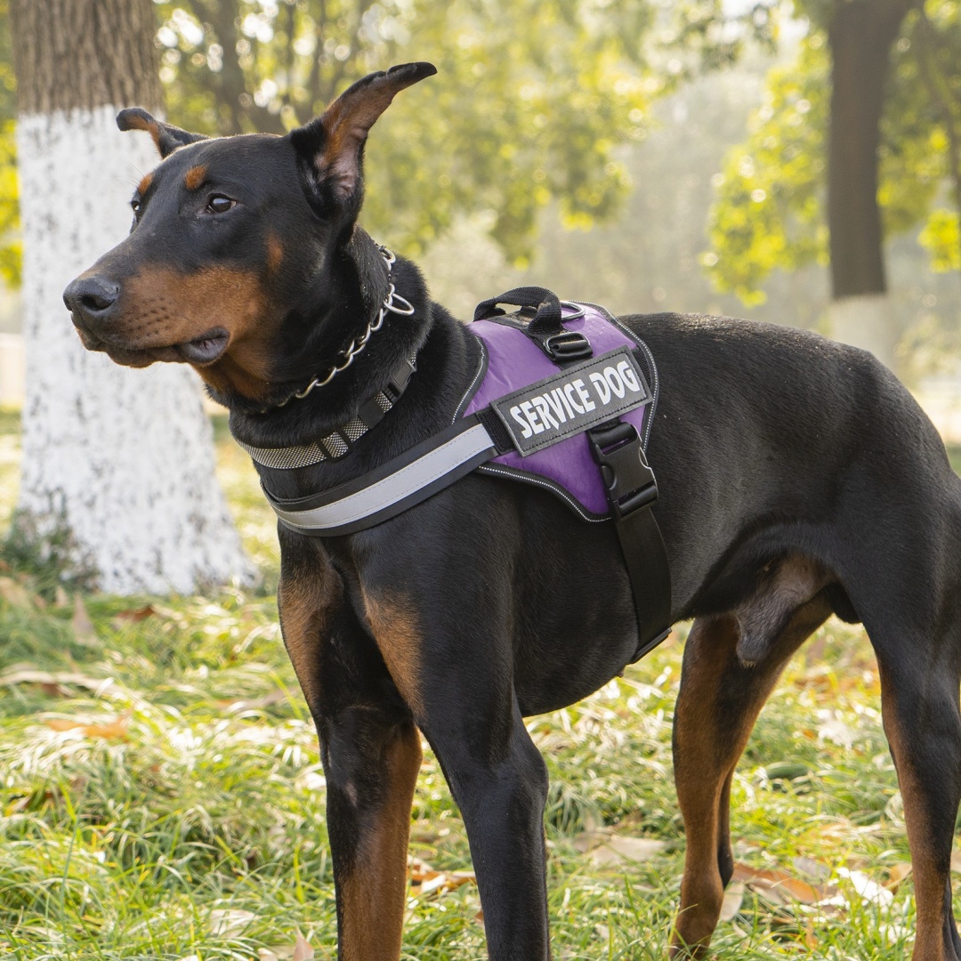Harness Dog LeashVest-styl For Medium To Large Dogs