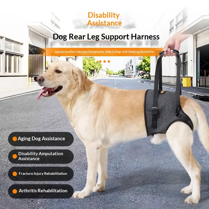 Retractable Dog Rehabilitation Harness