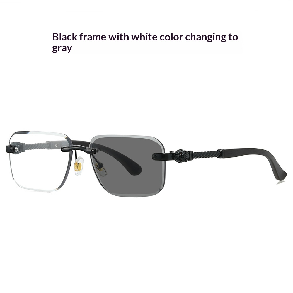 New Frameless Leopard-head Sunglasses With Photochromic Lenses