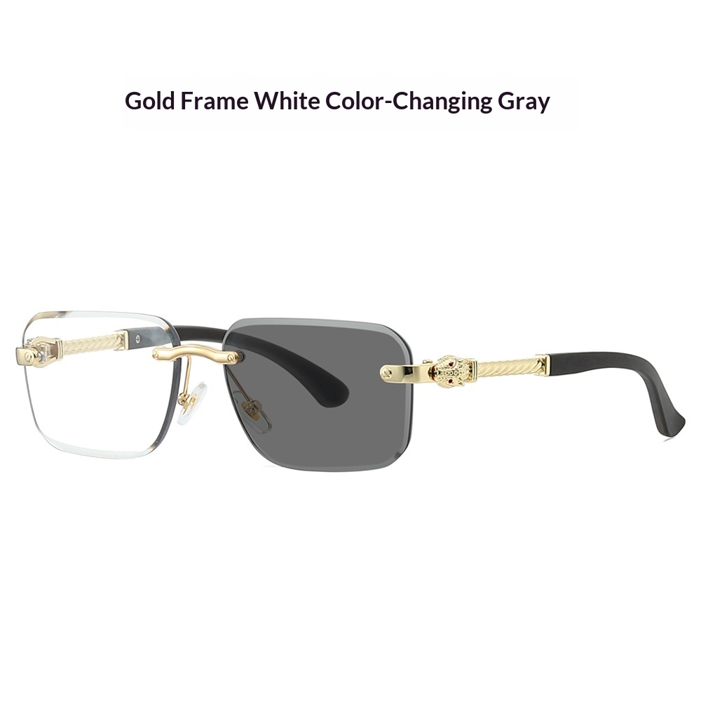New Frameless Leopard-head Sunglasses With Photochromic Lenses