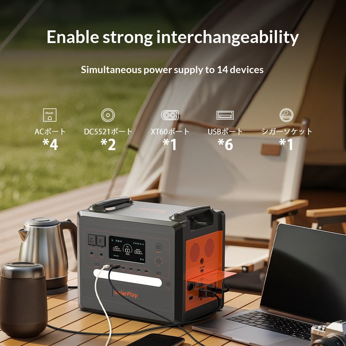 Portable 220V Dual-Use Power Supply