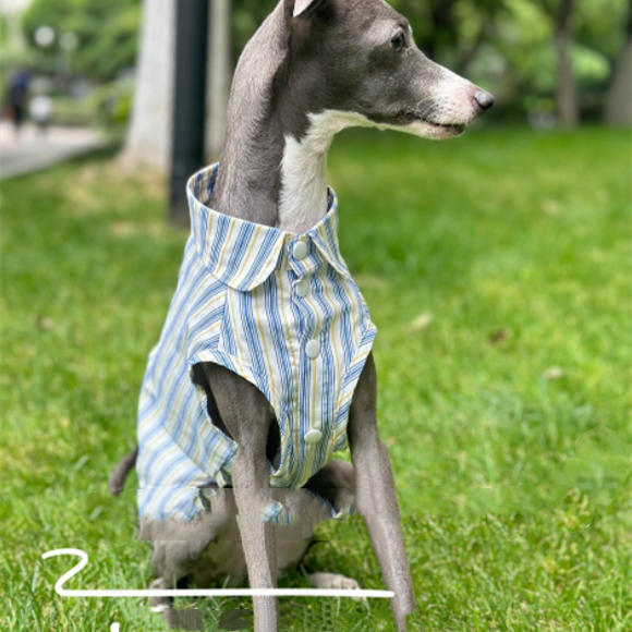 Cotton Sleeveless Shirt Cool And Comfortable Fabric Ultra-thin Design Whippet Clothing