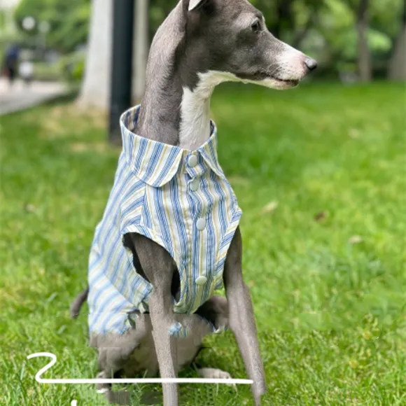 Cotton Sleeveless Shirt Cool And Comfortable Fabric