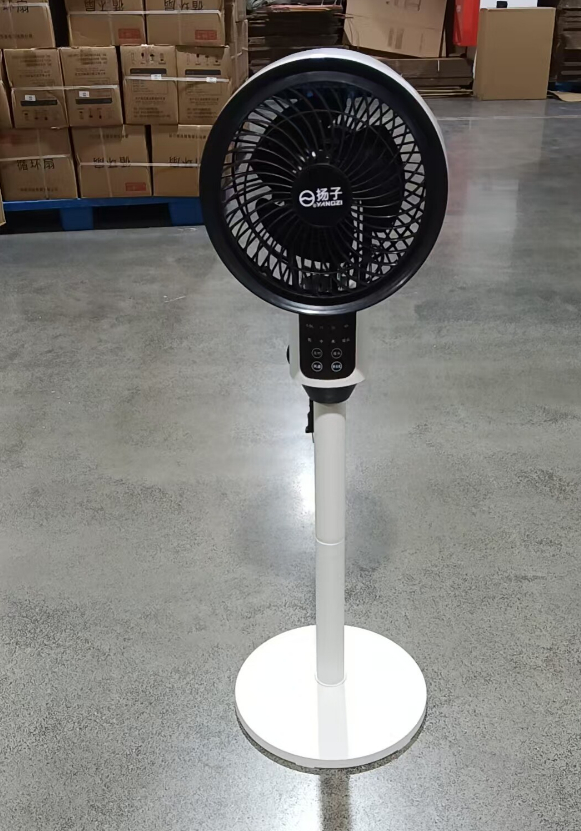 Fan