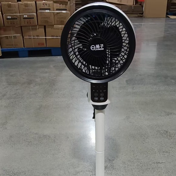 Fan