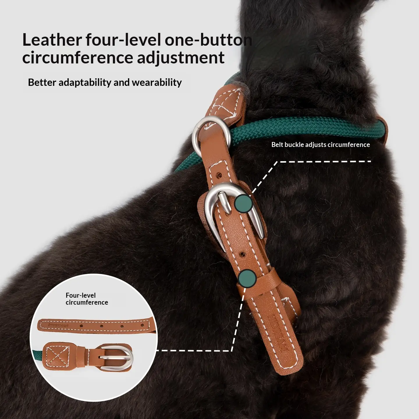 Striding And Leaping Cat Harness Set
