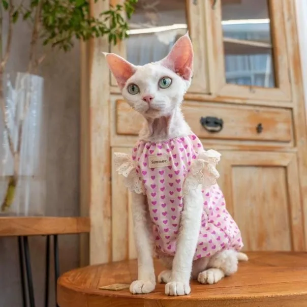 Sphynx Cat Summer Cotton Dress
