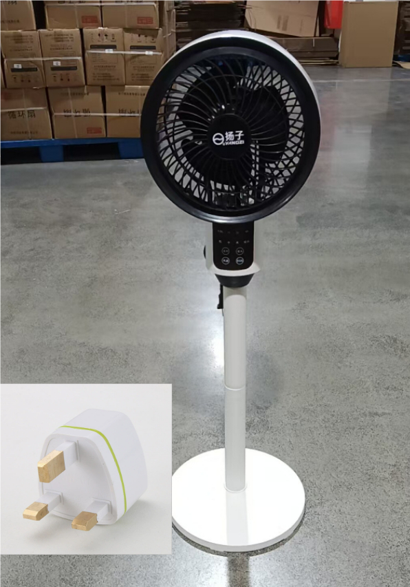 Fan