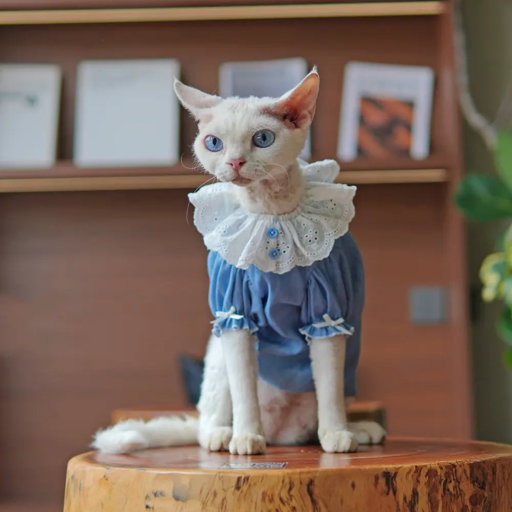 Sphynx Cat Summer Blue Dress
