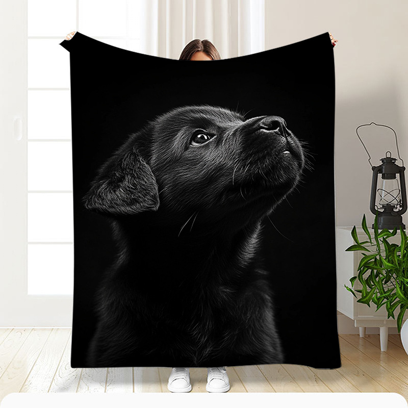 Digital Printed Wool Blanket