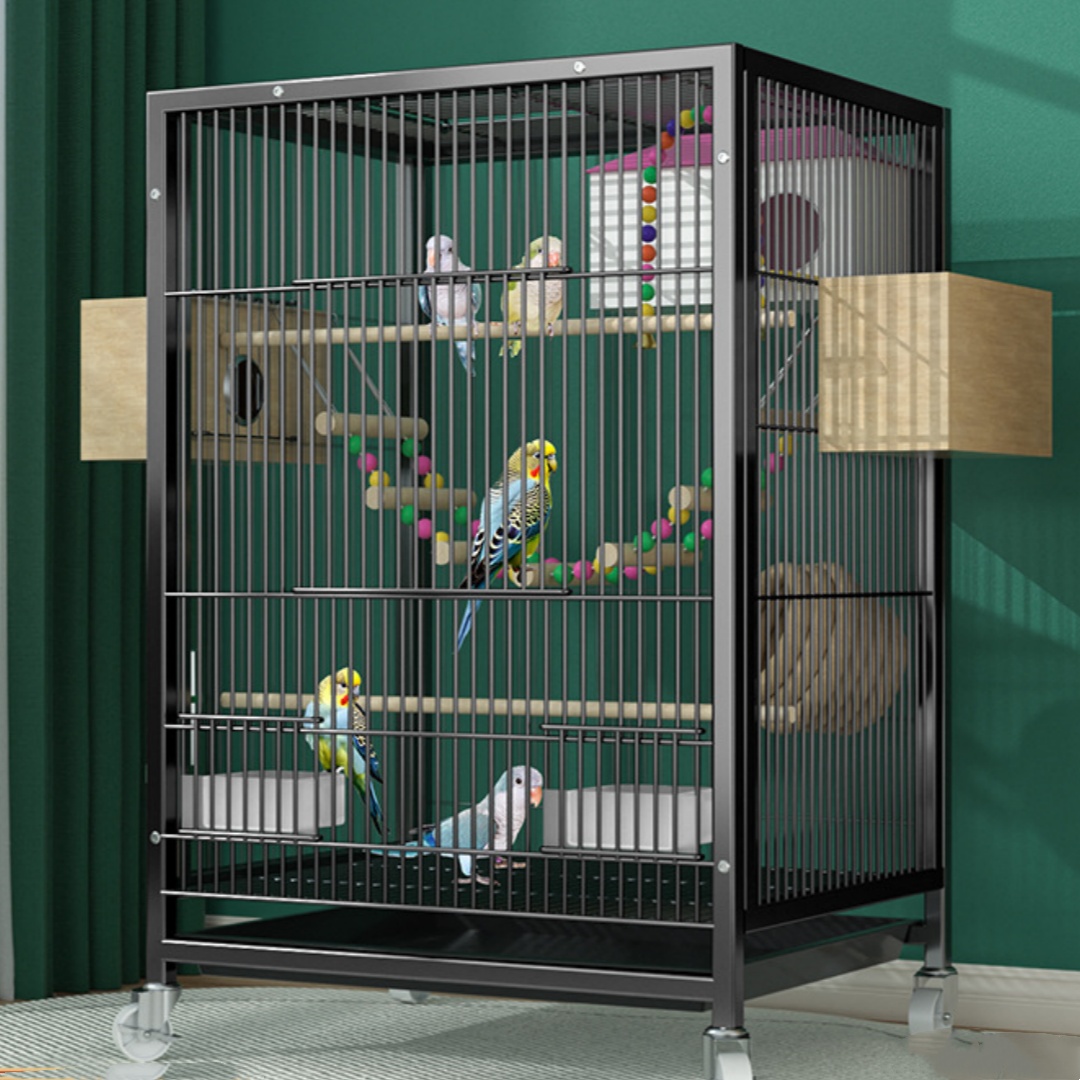 Square Tube Birdcage Bold Frame