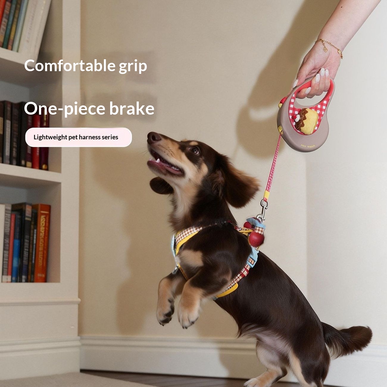 Small And Medium-sized Dogs In Traction Rope