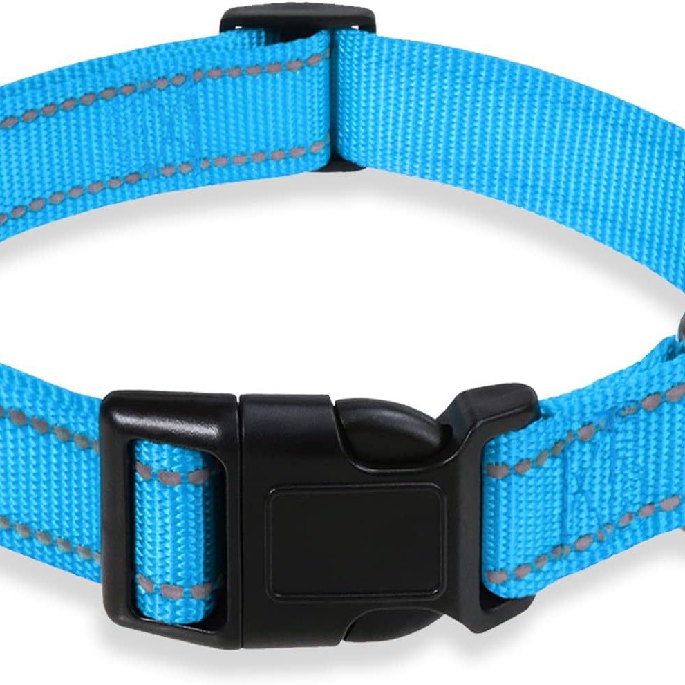 Reflective Dog Running Leash Set Night Running Waist Pack 8