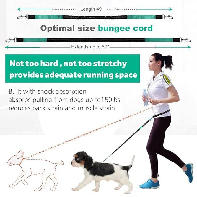 Reflective Dog Running Leash Set Night Running Waist Pack 4