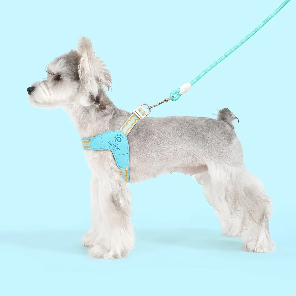 Portable Y-shaped Dog Harness