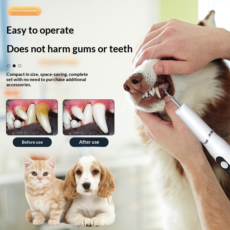 Pet Dog And Cat Dental Cleaning Device 4