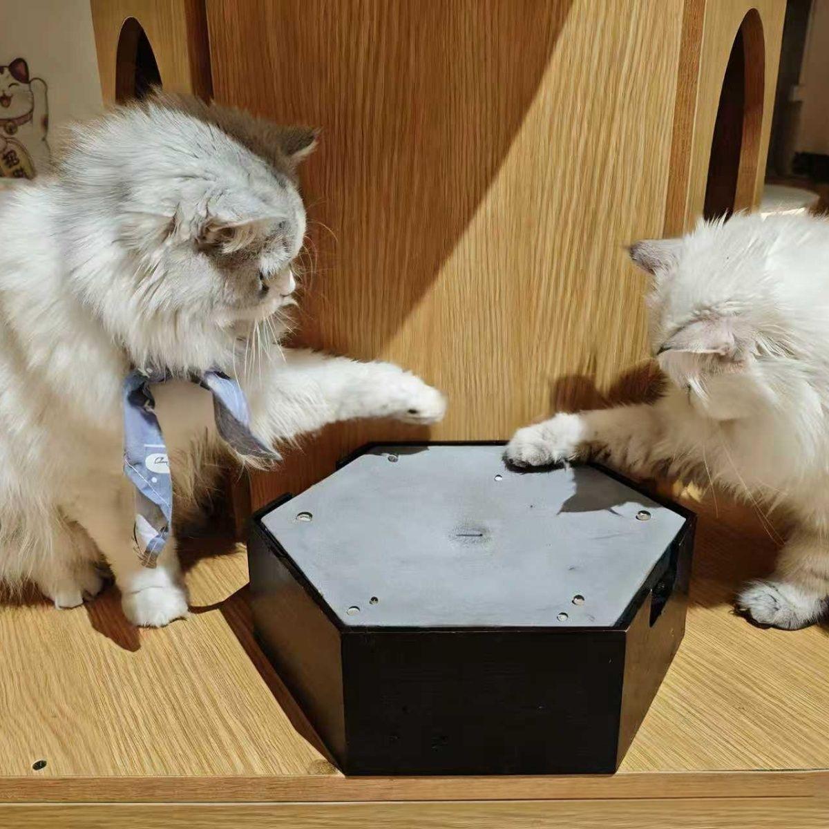 Rechargeable Drip-Style Cat Self-Entertainment Toy 3
