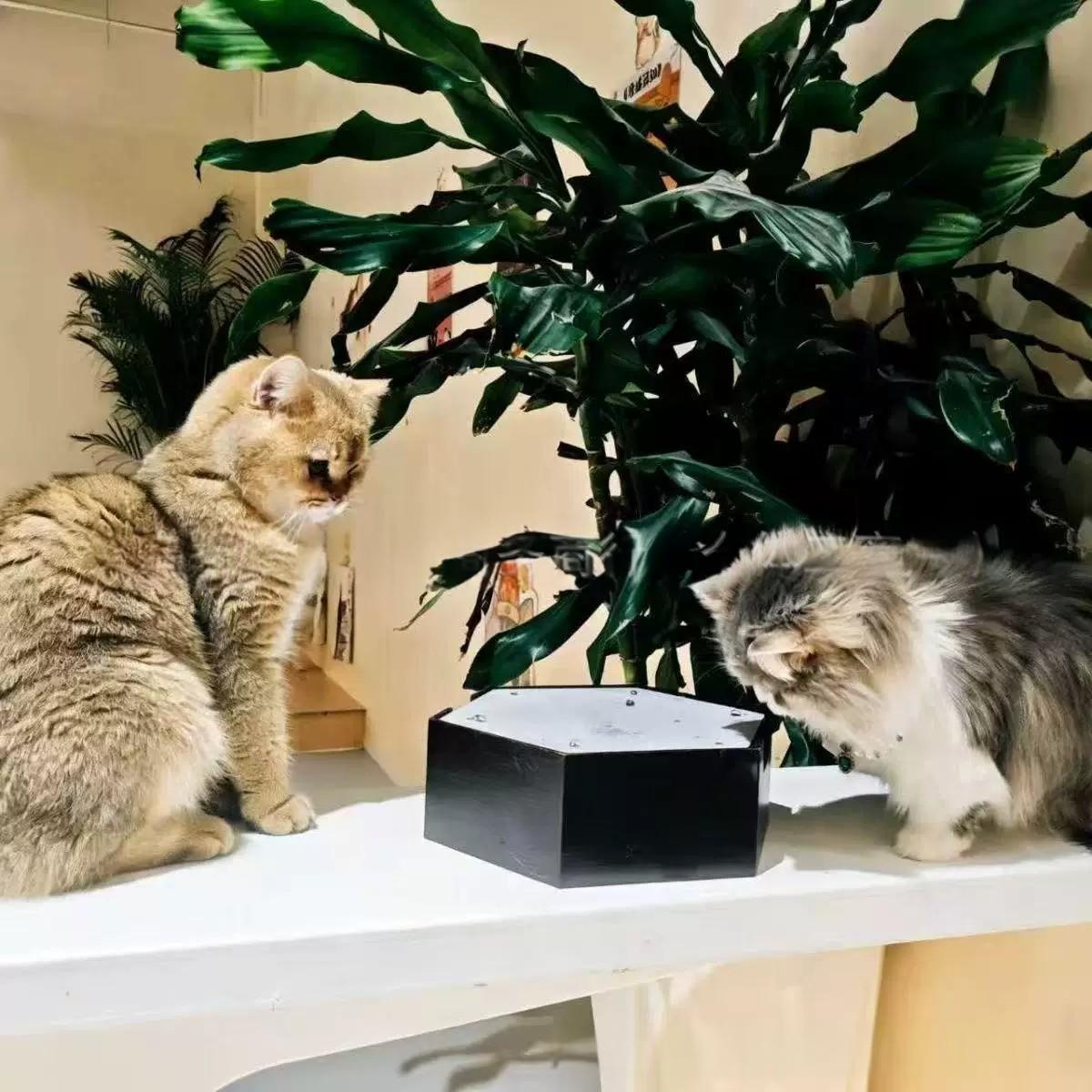 Rechargeable Drip-Style Cat Self-Entertainment Toy 6