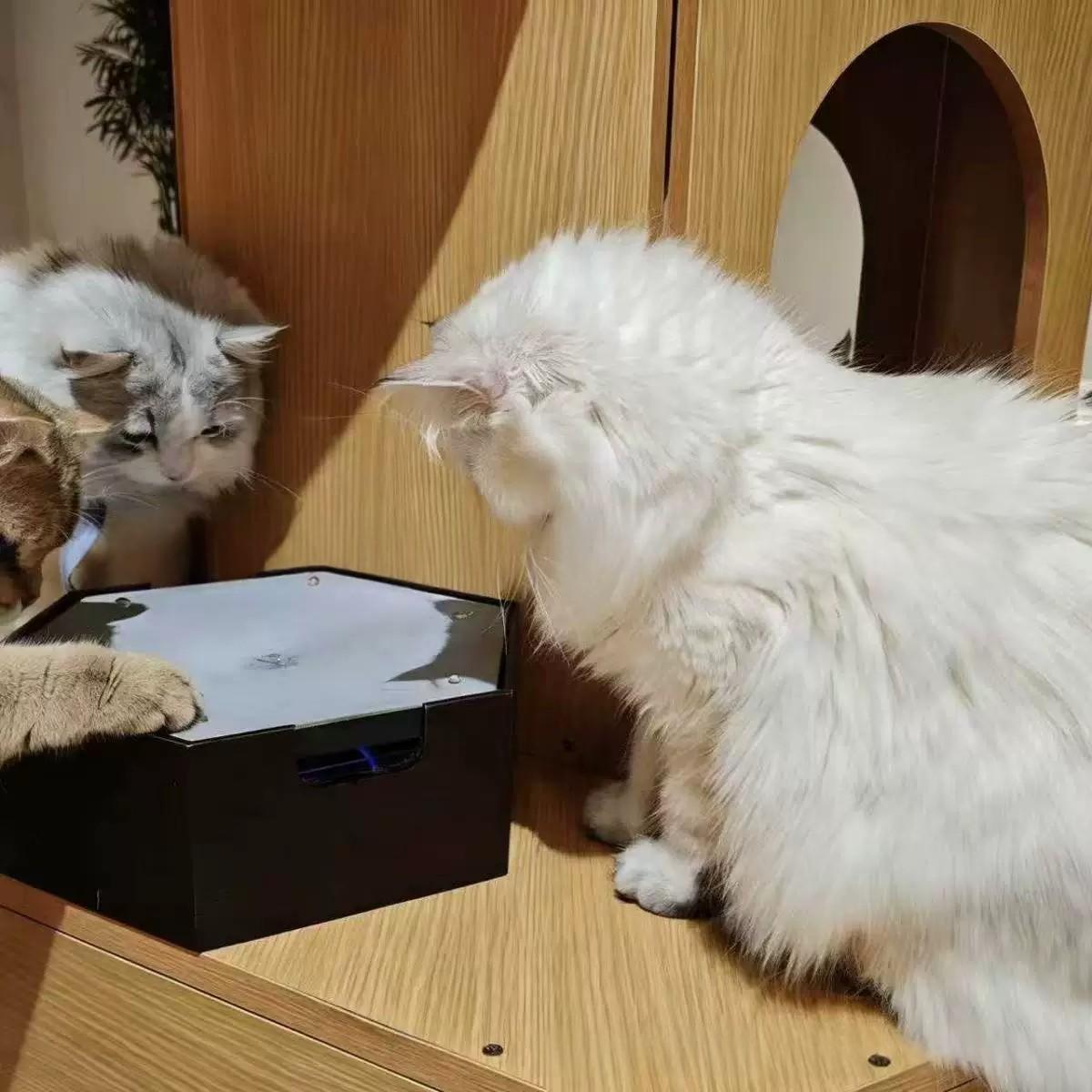 Rechargeable Drip-Style Cat Self-Entertainment Toy 2